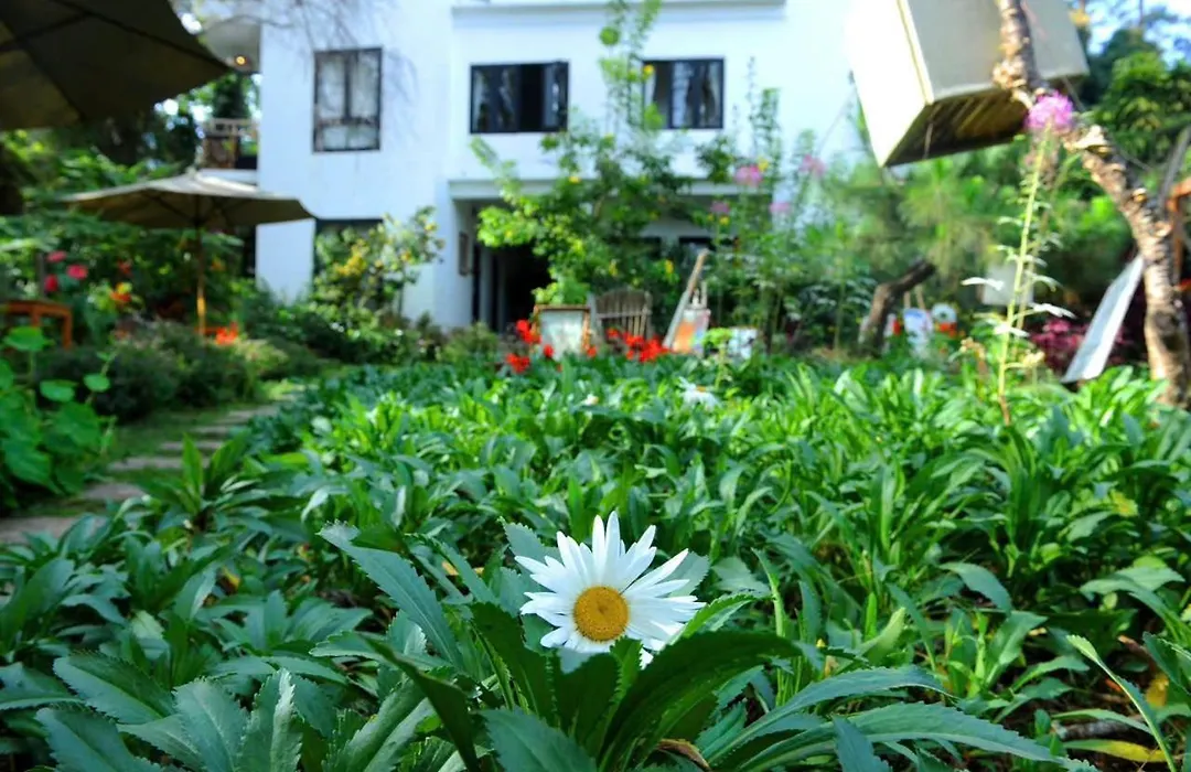 Stop And Go Boutique Hotel-1